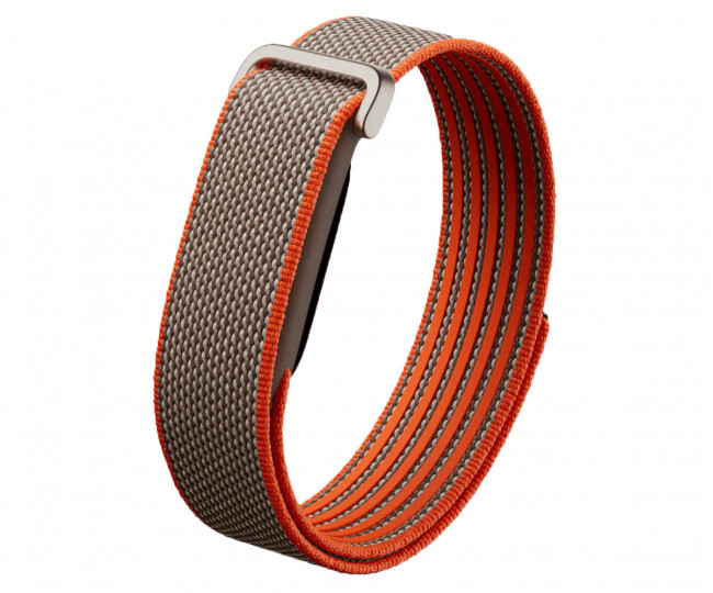 Фітнес-браслет Google Fitbit Air Special Edition Stephen Curry Color: Rye